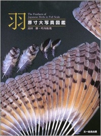 羽 原寸大写真図鑑