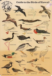 Guide to the Birds of Hawaii