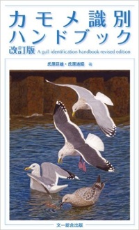 カモメ識別 ハンドブック