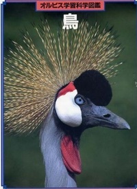 オルビス科学学習図鑑 鳥