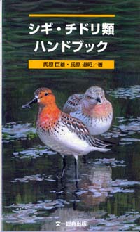 シギ・チドリ類 ハンドブック