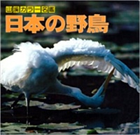 日本の野鳥